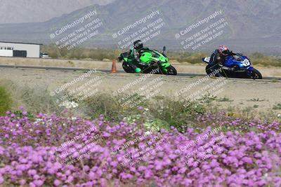 media/Feb-04-2023-SoCal Trackdays (Sat) [[8a776bf2c3]]/Turn 15 Inside Blooming (1050am)/